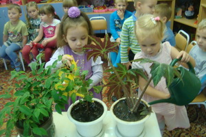 Экологическое воспитание детей дошкольного возраста: основы и проблемы Экологическое воспитание детей дошкольного возраста: основы и проблемы